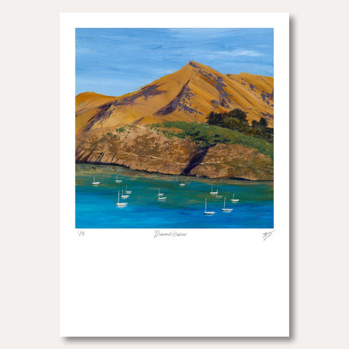 'Diamond Harbour' by Chloe Clinch