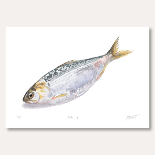 'Fish 1' by Rosa Watt