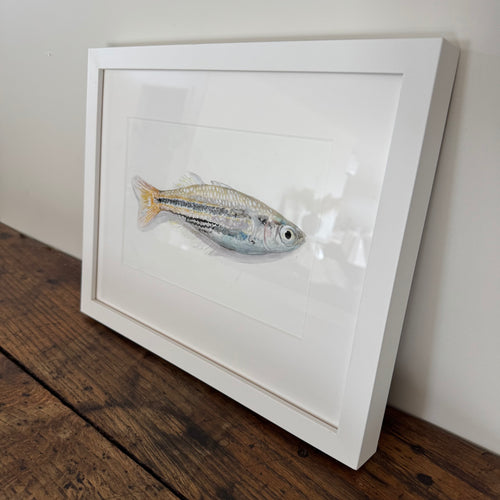 'Fish 2' framed original by Rosa Watt
