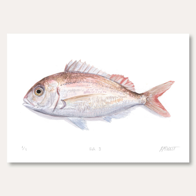 'Fish 3' by Rosa Watt