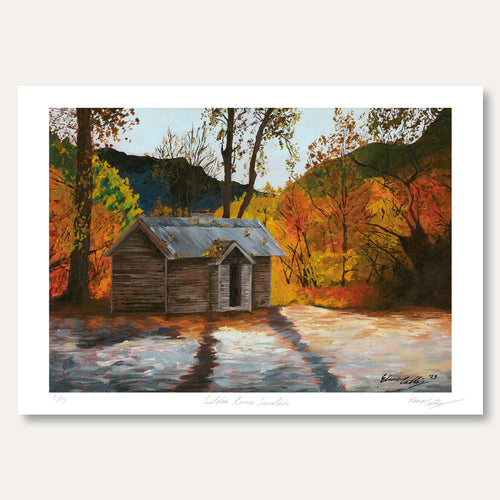 'Brocade of Arrowtown' by Eliana Collins