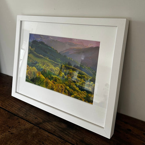 'The Timeless Beauty of Aotearoa' framed original by Christine Wang