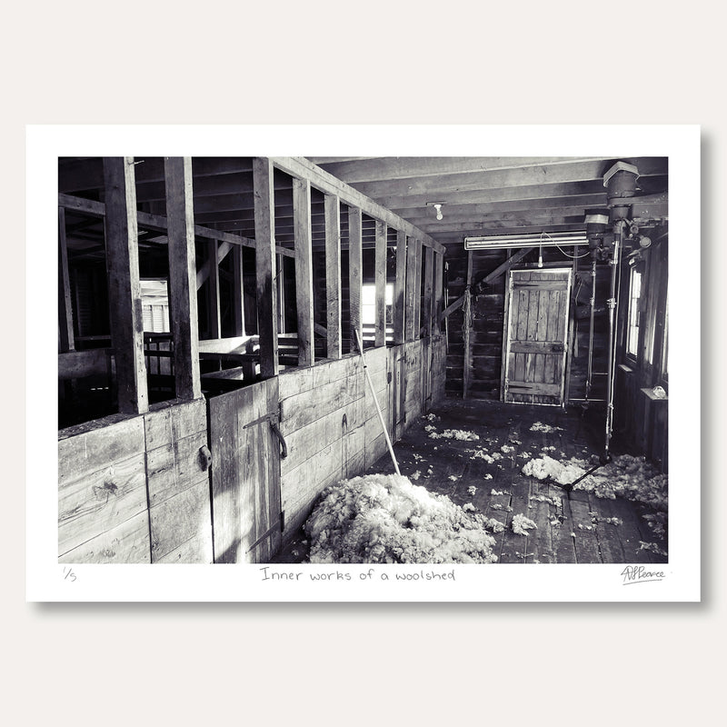 'Inner Works of a Woolshed' by Ana Pearce