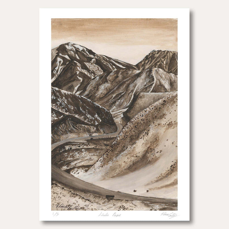 'Lindis Pass #3' by Eliana Collins