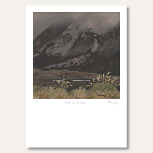 'Moody Jacks Point #5' by Eliana Collins