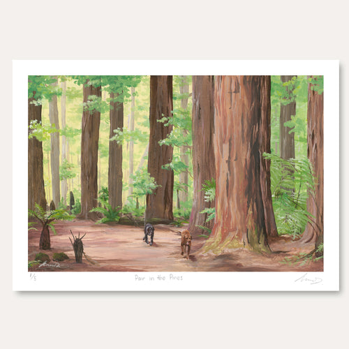 'Pair in the pines' by Annabelle Stokes
