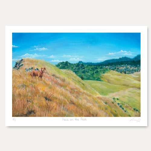 'Paws on the peak' by Annabelle Stokes