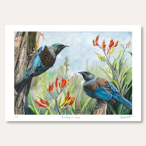'Rivalry in Song' by James Green