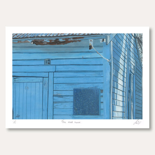 'The Mad House' by Keira van der Meys