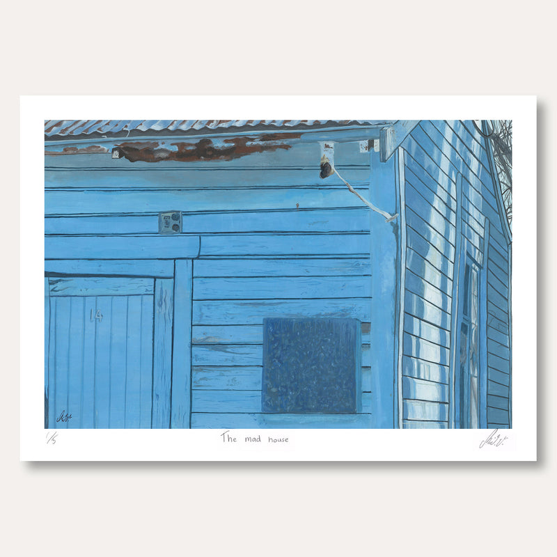 'The Mad House' by Keira van der Meys