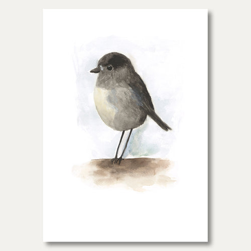 'Bruce the Toutouwai' by Cate Ambury