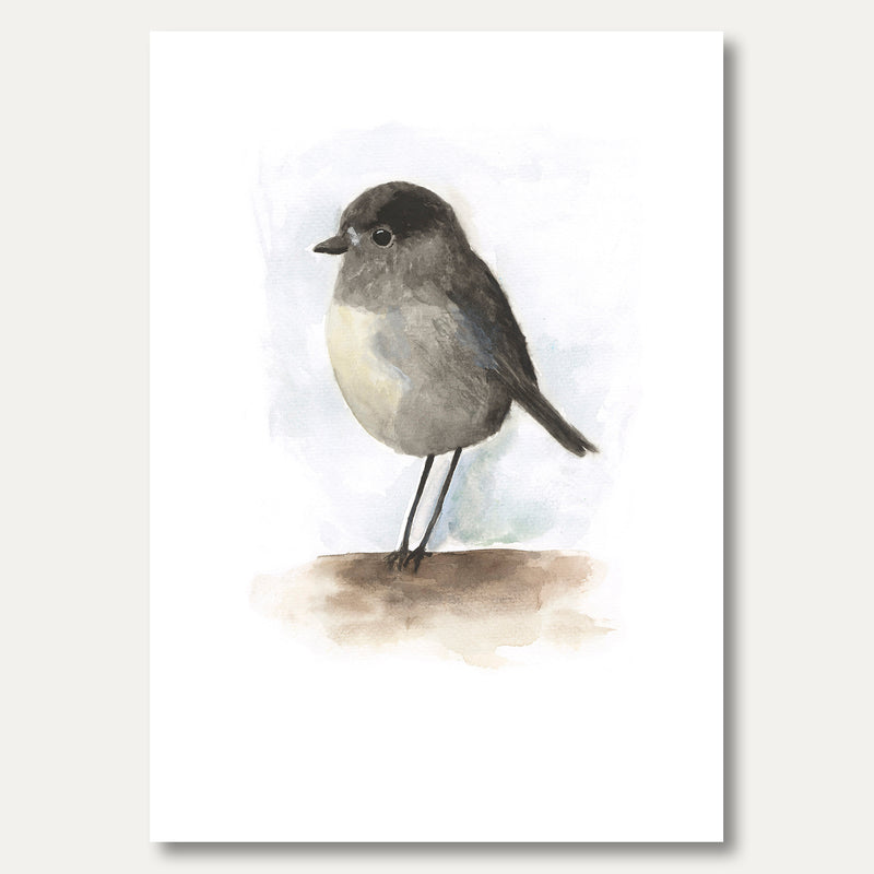 'Bruce the Toutouwai' by Cate Ambury