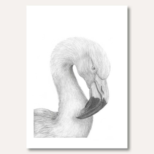 'The Flamingo' framed original by Gabriela Cox
