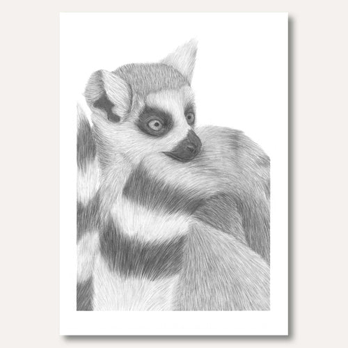 'The Lemur' framed original by Gabriela Cox