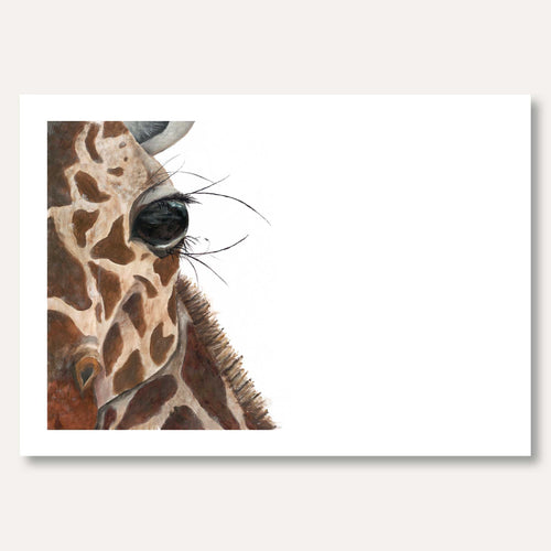 'The Giraffe' by Jade Webb