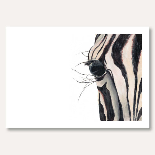 'The Zebra' by Jade Webb