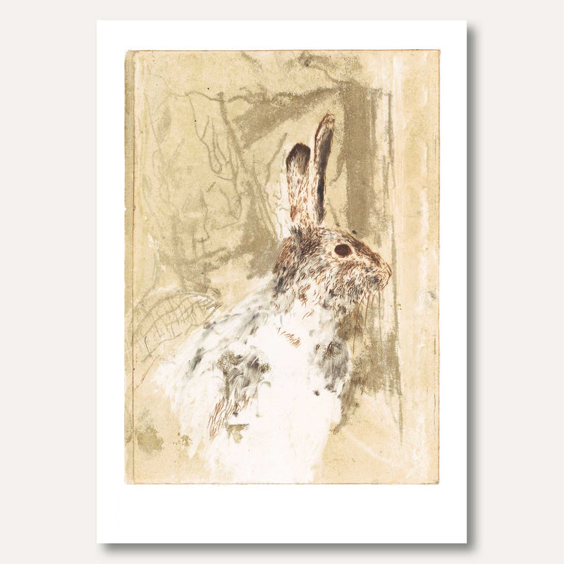 'Rabbit' by Rosetta Brown