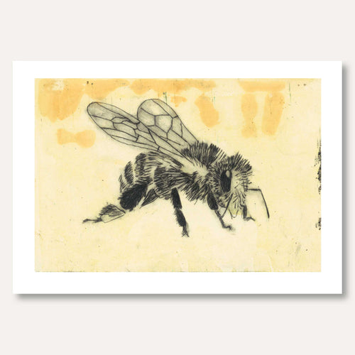 'Honey Bee' by Skye Calder