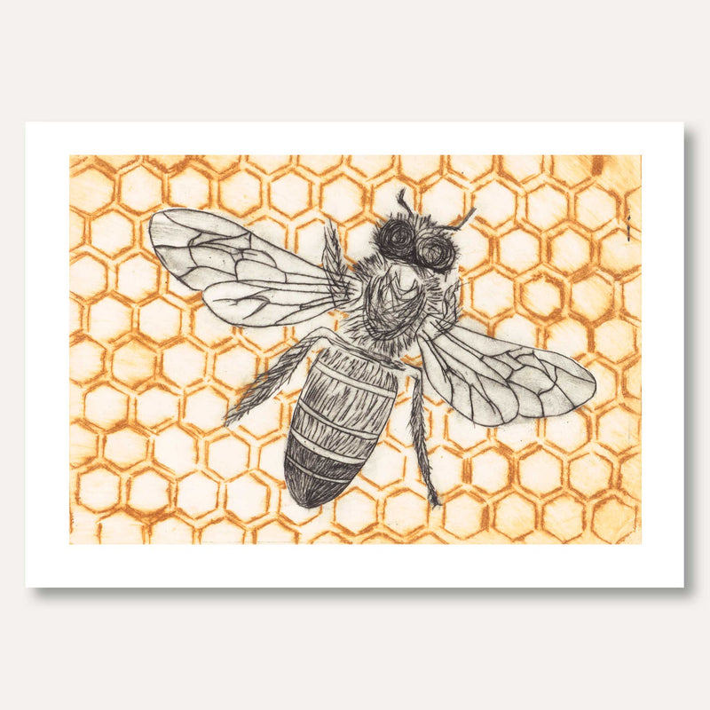 'Honeybee Comb' by Skye Calder